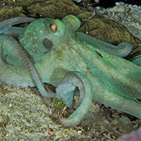 FIRSTNAME LASTNAME @partnerurl